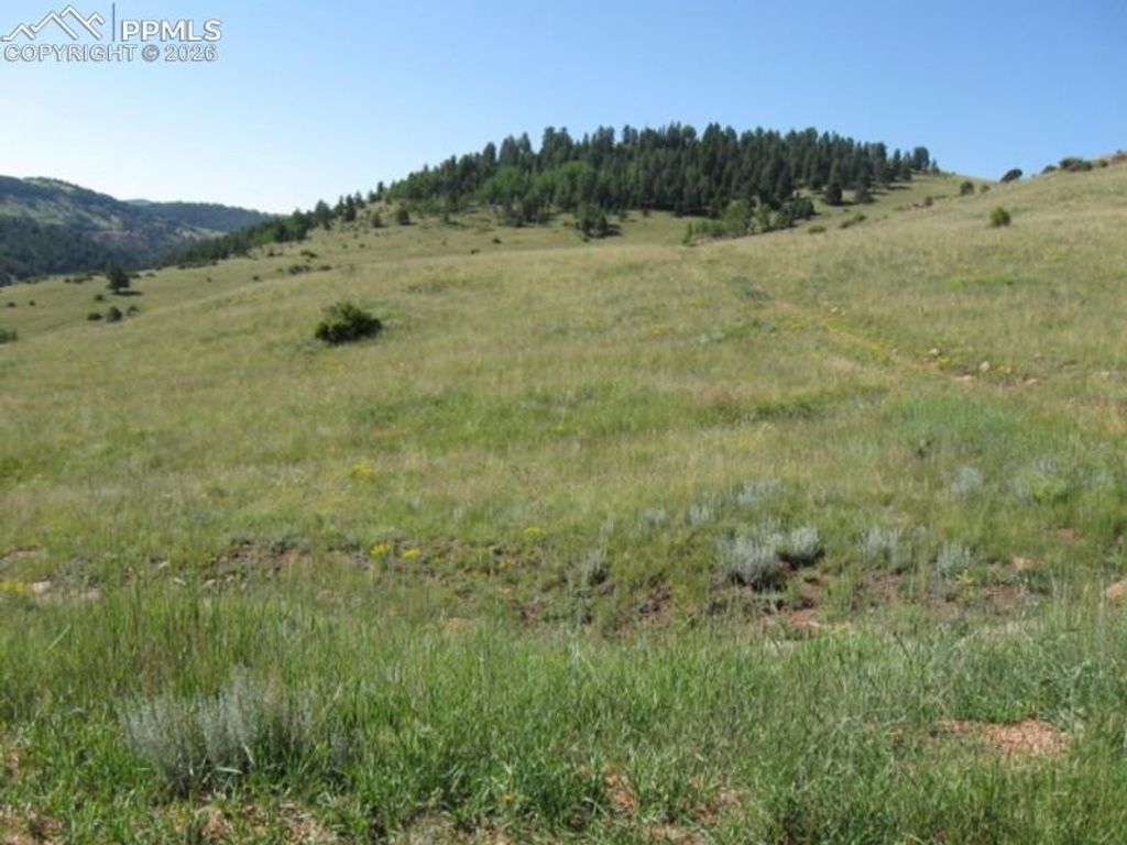 Lot 9-10 Shideler Avenue, Cripple Creek, CO 80813