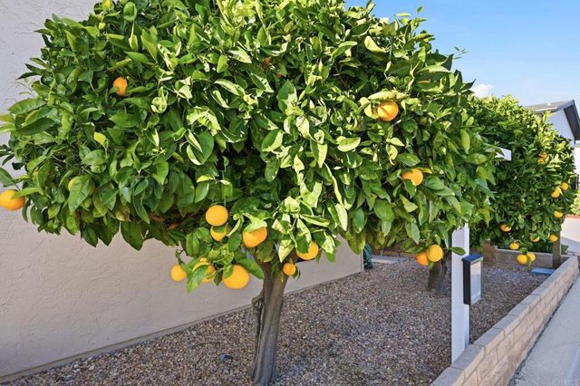 634 Via Santa Cruz, Vista, CA 92081