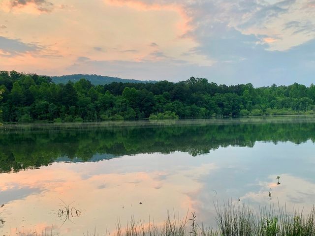 251 Walnut Rd, Blairsville, GA 30512