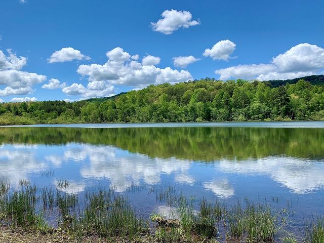 251 Walnut Rd, Blairsville, GA 30512