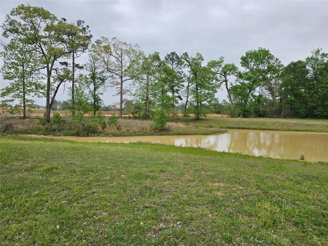 15784 Tree Monkey Rd, Conroe, TX 77303