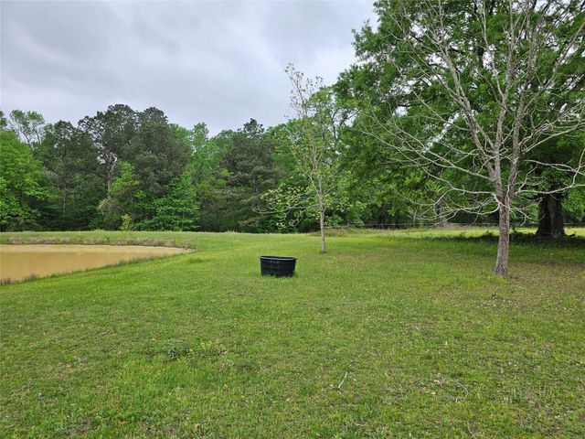 15784 Tree Monkey Rd, Conroe, TX 77303