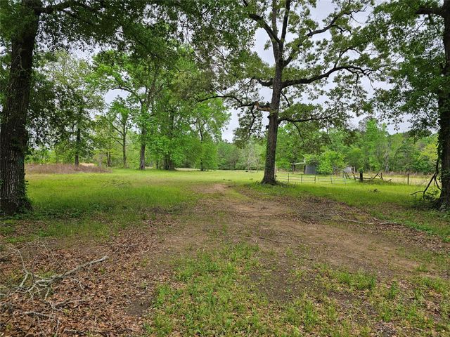15784 Tree Monkey Rd, Conroe, TX 77303