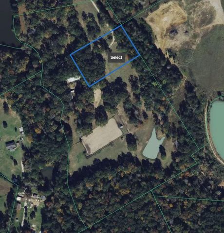 15784 Tree Monkey Rd, Conroe, TX 77303