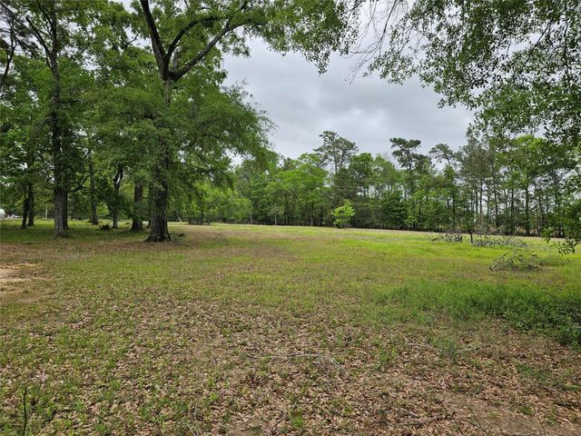 15784 Tree Monkey Rd, Conroe, TX 77303