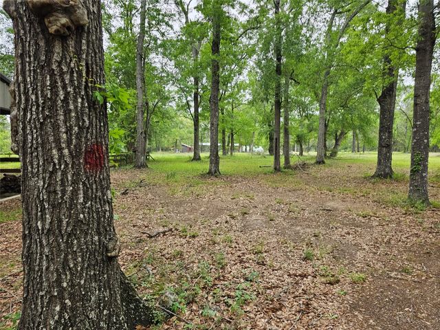 15784 Tree Monkey Rd, Conroe, TX 77303