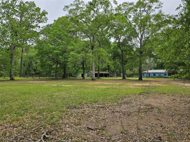 15784 Tree Monkey Rd, Conroe, TX 77303