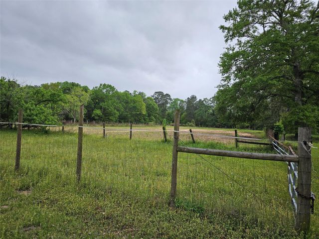 15784 Tree Monkey Rd, Conroe, TX 77303