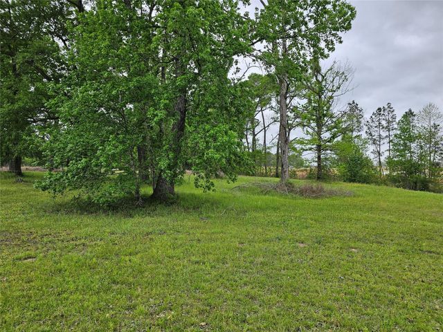 15784 Tree Monkey Rd, Conroe, TX 77303