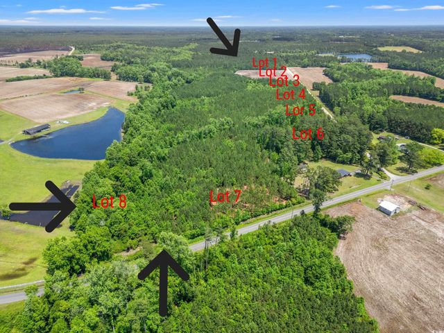 TBD Daisy Rd., Loris, SC 29569