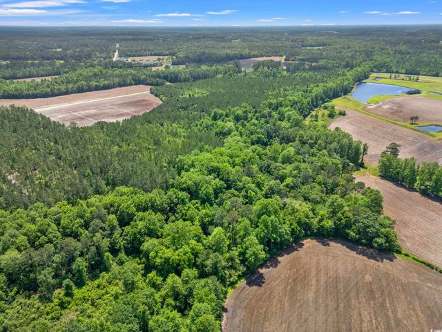 TBD Daisy Rd., Loris, SC 29569