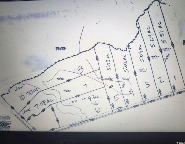 TBD Daisy Rd., Loris, SC 29569