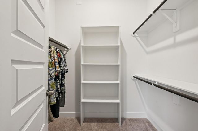 24723 Blooming Sunflower Trail, Katy, TX 77493