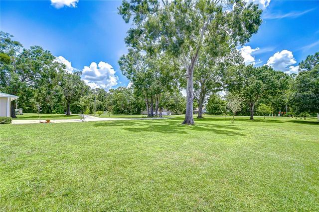 15006 RAILS ROAD, Odessa, FL 33556