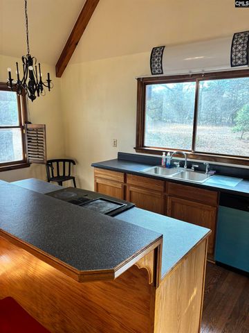 148 Jim Rucker Road, Swansea, SC 29160