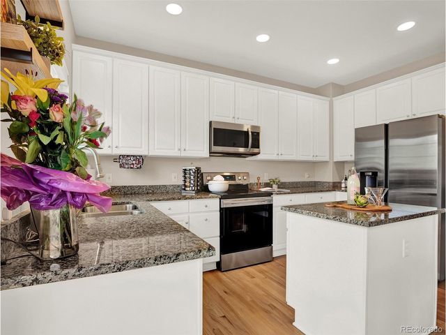 9877 Tourmaline Ct, Parker, CO 80134