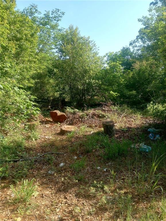 115 Elm Street, Griffin, GA 30223