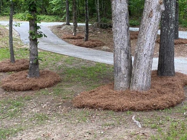 4470 SW East Fairview Drive, Stockbridge, GA 30281