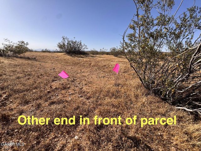 Vic Ave C8 253 Ste, High Vista, CA 93535