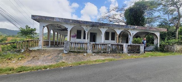 H-155 BUENA VISTA, TOITA WARD, LA HERRADURA SECTOR, Cayey, PR 00736
