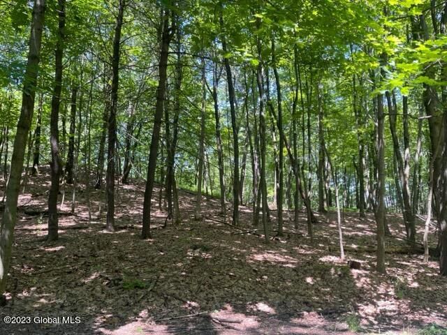 L4.1 West Road, Brunswick, NY 12180