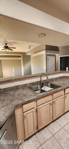 2625 Bearcat Drive, Las Cruces, NM 88001