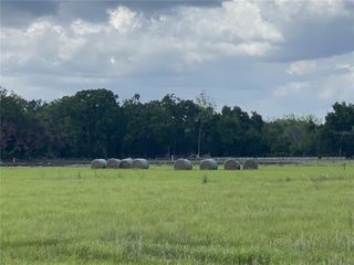 0 SR 345, Chiefland, FL 32626