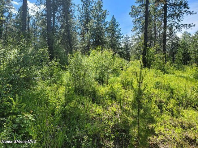 NNA W Reality Loop, Coeur D'alene, ID 83814