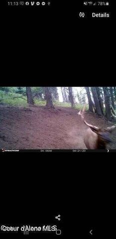 NNA W Reality Loop, Coeur D'alene, ID 83814