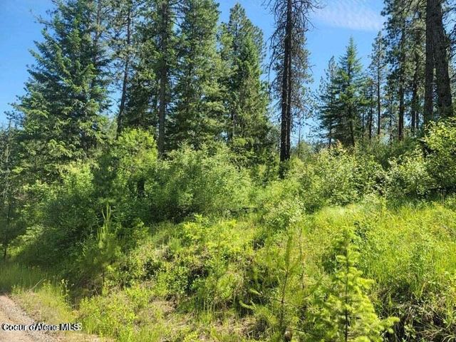 NNA W Reality Loop, Coeur D'alene, ID 83814