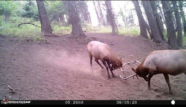 NNA W Reality Loop, Coeur D'alene, ID 83814