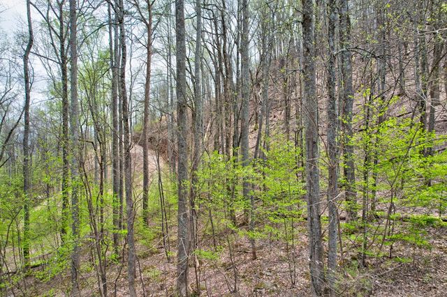 Lt 12&13 Greystone Trace, Ellijay, GA 30540