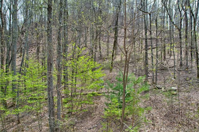 Lt 12&13 Greystone Trace, Ellijay, GA 30540