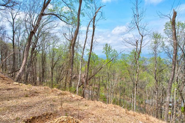 Lt 12&13 Greystone Trace, Ellijay, GA 30540