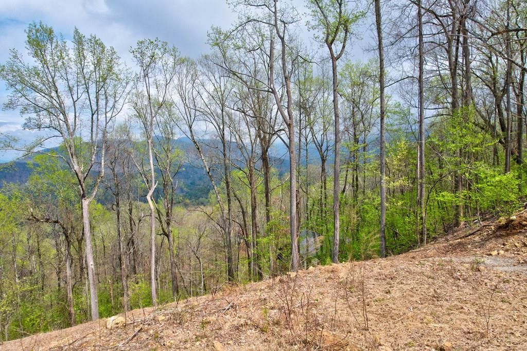 Lt 12&13 Greystone Trace, Ellijay, GA 30540