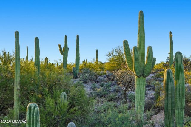 5051 N Hillcrest Drive, Tucson, AZ 85704