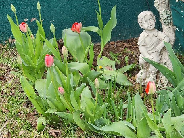 936 Walton Avenue, Dayton, OH 45402