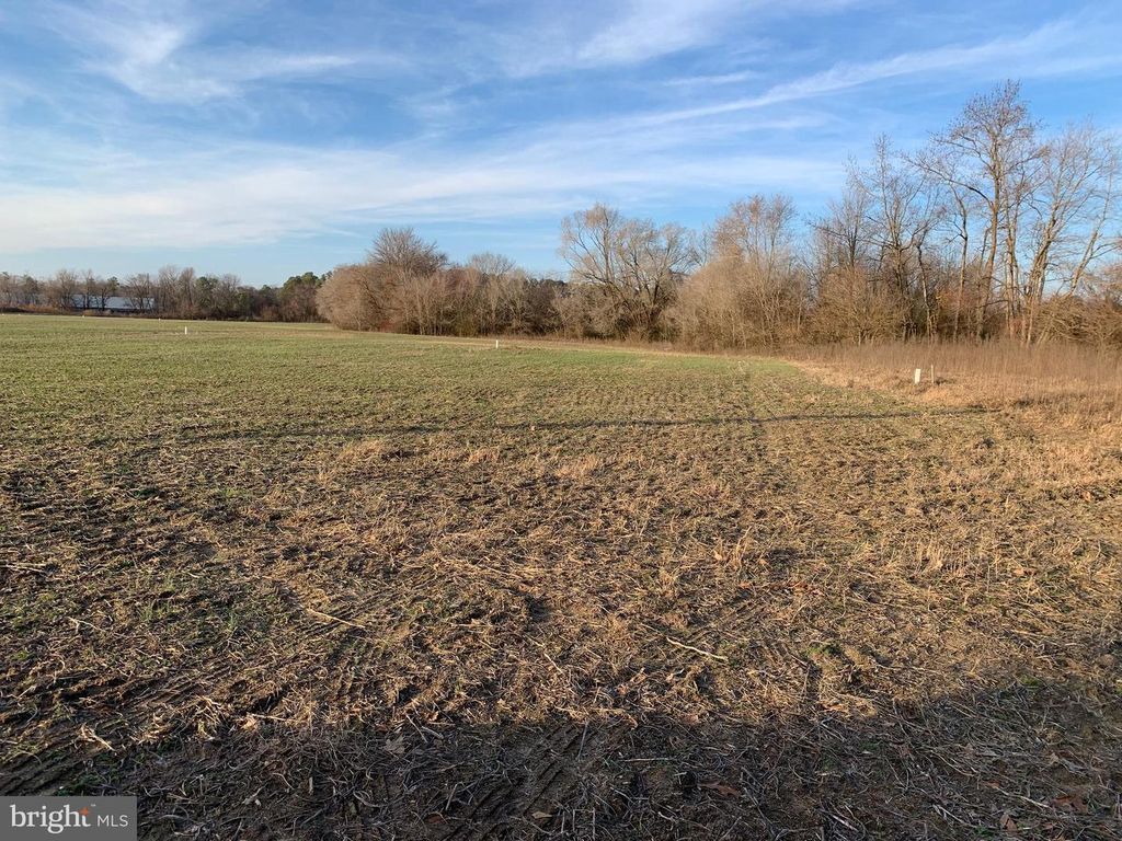 LOT 1 CLARK CANNING HOUSE RD, Federalsburg, MD 21632