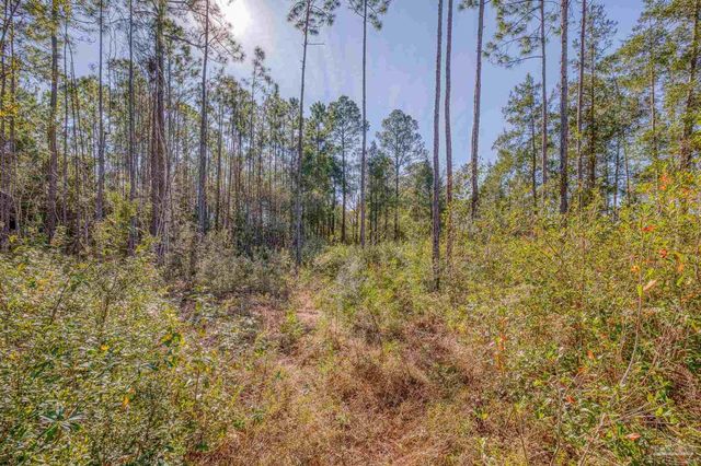 00 Petersen Pt Rd, Milton, FL 32583