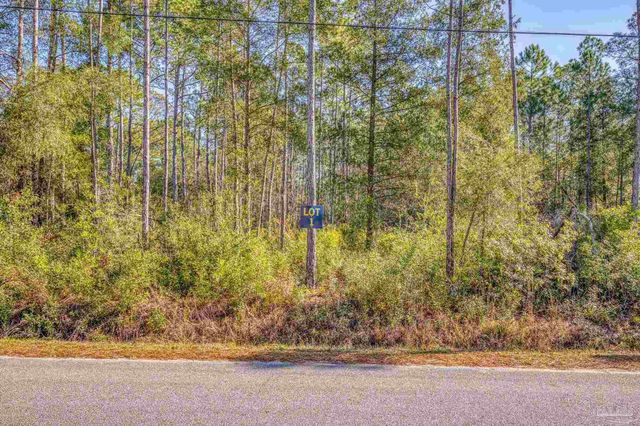 00 Petersen Pt Rd, Milton, FL 32583