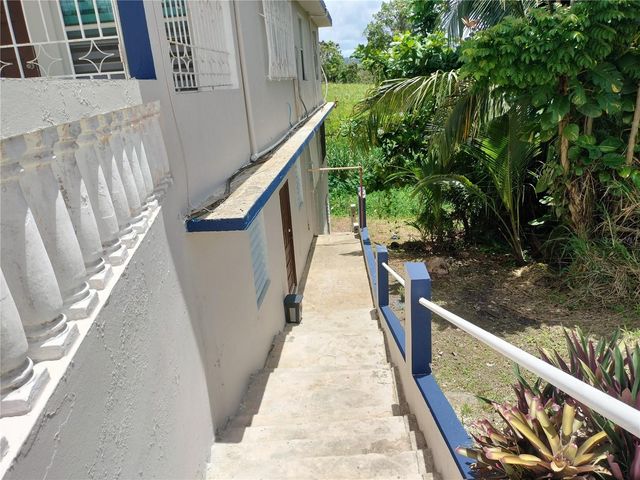 926 BO. COLLORES, Las Piedras, PR 00771
