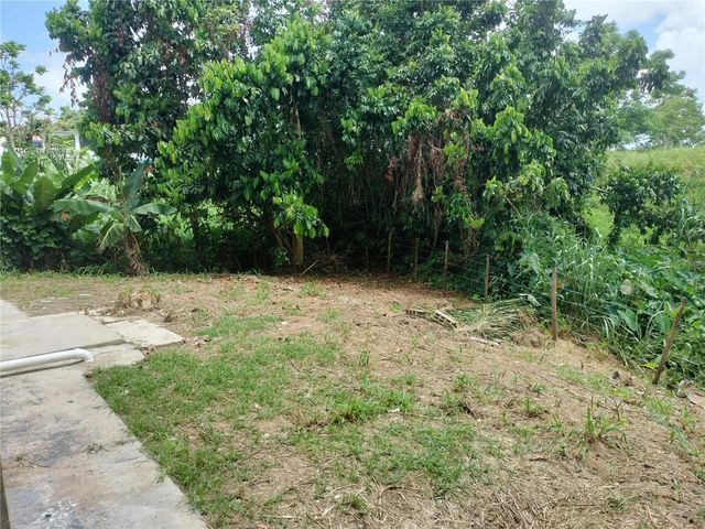 926 BO. COLLORES, Las Piedras, PR 00771