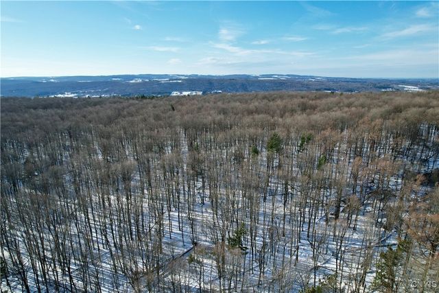 00 Route 92, Cazenovia, NY 13035