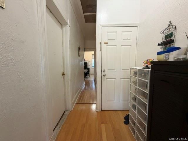 1656 Zerega Avenue, Bronx, NY 10462