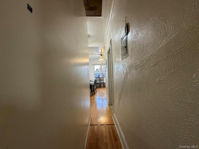 1656 Zerega Avenue, Bronx, NY 10462