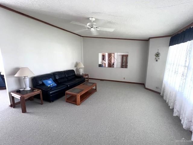 720 N Retama Street, La Feria, TX 78559