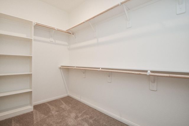 7711 Pale Petunia Trail, Katy, TX 77493