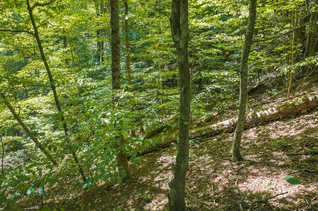 H-91 Mountain Oak Road, Ellijay, GA 30536