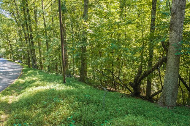 H-91 Mountain Oak Road, Ellijay, GA 30536