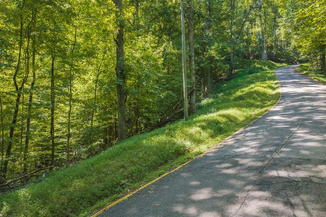 H-91 Mountain Oak Road, Ellijay, GA 30536